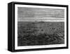 The Pampas Railroad, South American Lowlands, 1877-null-Framed Stretched Canvas