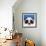 The Panda Bear-Lucia Stewart-Framed Art Print displayed on a wall