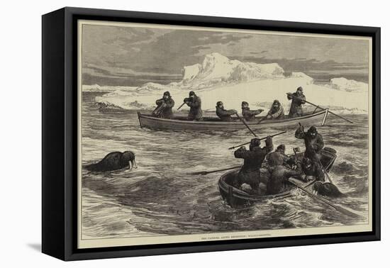 The Pandora Arctic Expedition, Walrus-Shooting-null-Framed Stretched Canvas