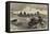 The Pandora Arctic Expedition, Walrus-Shooting-null-Framed Stretched Canvas