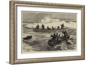 The Pandora Arctic Expedition, Walrus-Shooting-null-Framed Giclee Print