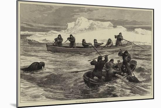 The Pandora Arctic Expedition, Walrus-Shooting-null-Mounted Giclee Print