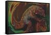 The Pangolin-Rabi Khan-Framed Stretched Canvas