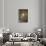 The Pantheon-Stefano Amantini-Mounted Premium Photographic Print displayed on a wall