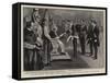 The Papal Jubilee, Lord Denbigh Handing an Autograph Letter from King Edward to His Holiness-null-Framed Stretched Canvas