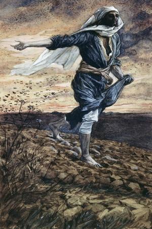 https://imgc.allpostersimages.com/img/posters/the-parable-of-the-sower_u-L-Q1J58C30.jpg?artPerspective=n
