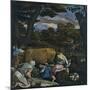 The Parable of the Sower-Jacopo Bassano-Mounted Giclee Print