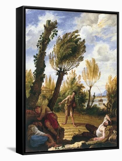 The Parable of the Wheat and the Tares-Domenico Fetti-Framed Stretched Canvas