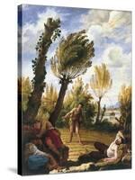 The Parable of the Wheat and the Tares-Domenico Fetti-Stretched Canvas