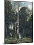 The Parc des Lions at Port-Marly, 1872-Jean-Baptiste-Camille Corot-Mounted Giclee Print