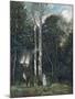 The Parc Des Lions at Port-Marly-Jean-Baptiste-Camille Corot-Mounted Giclee Print