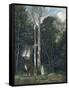 The Parc Des Lions at Port-Marly-Jean-Baptiste-Camille Corot-Framed Stretched Canvas