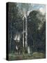 The Parc Des Lions at Port-Marly-Jean-Baptiste-Camille Corot-Stretched Canvas