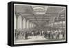 The Paris Agricultural Exhibition, the Cattle, General View-null-Framed Stretched Canvas