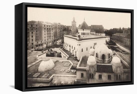 The Paris Mosque-null-Framed Stretched Canvas