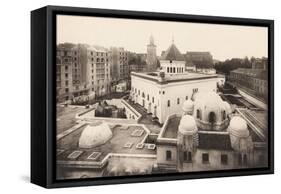 The Paris Mosque-null-Framed Stretched Canvas