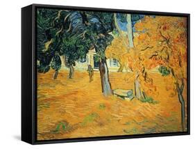 The Park at St. Paul's Hospital, St. Remy, 1889-Vincent van Gogh-Framed Stretched Canvas