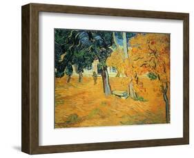 The Park at St. Paul's Hospital, St. Remy, 1889-Vincent van Gogh-Framed Giclee Print