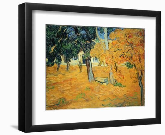 The Park at St. Paul's Hospital, St. Remy, 1889-Vincent van Gogh-Framed Giclee Print