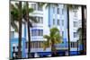 The Park Central Hotel Miami Beach - Art Deco District - Florida-Philippe Hugonnard-Mounted Photographic Print