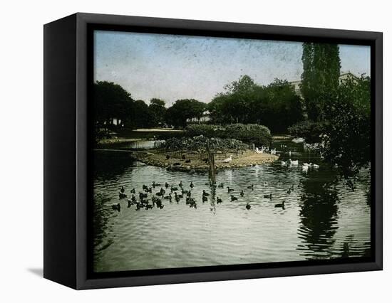 The Park of the Jardin D'Acclimatation, Paris (XVIth Arrondissement), Circa 1890-1895-Leon, Levy et Fils-Framed Stretched Canvas