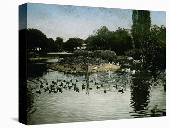 The Park of the Jardin D'Acclimatation, Paris (XVIth Arrondissement), Circa 1890-1895-Leon, Levy et Fils-Stretched Canvas