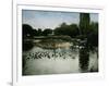 The Park of the Jardin D'Acclimatation, Paris (XVIth Arrondissement), Circa 1890-1895-Leon, Levy et Fils-Framed Photographic Print