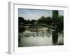 The Park of the Jardin D'Acclimatation, Paris (XVIth Arrondissement), Circa 1890-1895-Leon, Levy et Fils-Framed Photographic Print