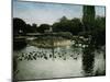 The Park of the Jardin D'Acclimatation, Paris (XVIth Arrondissement), Circa 1890-1895-Leon, Levy et Fils-Mounted Photographic Print