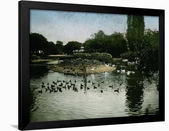 The Park of the Jardin D'Acclimatation, Paris (XVIth Arrondissement), Circa 1890-1895-Leon, Levy et Fils-Framed Photographic Print