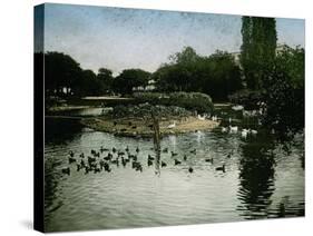 The Park of the Jardin D'Acclimatation, Paris (XVIth Arrondissement), Circa 1890-1895-Leon, Levy et Fils-Stretched Canvas