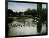 The Park of the Jardin D'Acclimatation, Paris (XVIth Arrondissement), Circa 1890-1895-Leon, Levy et Fils-Framed Photographic Print