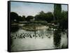 The Park of the Jardin D'Acclimatation, Paris (XVIth Arrondissement), Circa 1890-1895-Leon, Levy et Fils-Framed Stretched Canvas