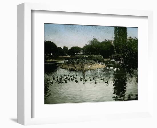 The Park of the Jardin D'Acclimatation, Paris (XVIth Arrondissement), Circa 1890-1895-Leon, Levy et Fils-Framed Photographic Print
