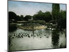 The Park of the Jardin D'Acclimatation, Paris (XVIth Arrondissement), Circa 1890-1895-Leon, Levy et Fils-Mounted Photographic Print