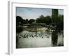 The Park of the Jardin D'Acclimatation, Paris (XVIth Arrondissement), Circa 1890-1895-Leon, Levy et Fils-Framed Photographic Print