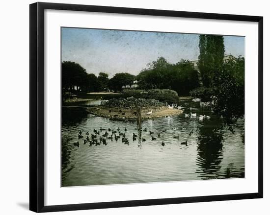 The Park of the Jardin D'Acclimatation, Paris (XVIth Arrondissement), Circa 1890-1895-Leon, Levy et Fils-Framed Photographic Print