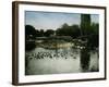 The Park of the Jardin D'Acclimatation, Paris (XVIth Arrondissement), Circa 1890-1895-Leon, Levy et Fils-Framed Photographic Print