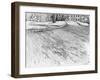 The Park-Tim Kahane-Framed Photographic Print