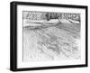 The Park-Tim Kahane-Framed Photographic Print