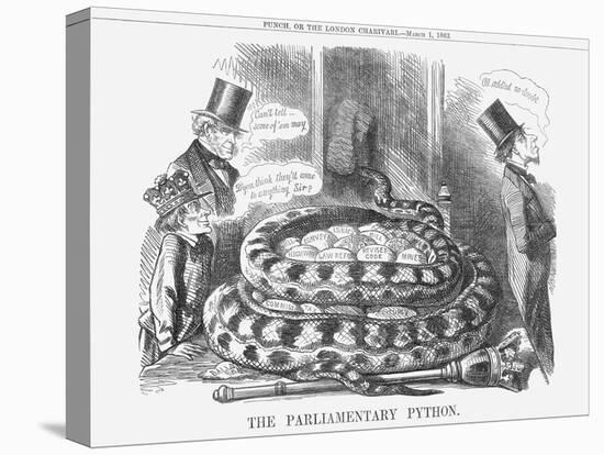 The Parliamentary Python, 1862-null-Stretched Canvas