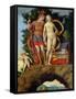 The Parnassus, Detail of Venus and Mars-Andrea Mantegna-Framed Stretched Canvas