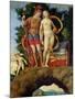 The Parnassus, Detail of Venus and Mars-Andrea Mantegna-Mounted Giclee Print