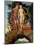 The Parnassus, Detail of Venus and Mars-Andrea Mantegna-Mounted Giclee Print
