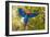 The Parrot-Art Wolfe-Framed Premium Photographic Print