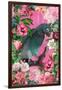 The Parrots Paradise Garden 3-Andrea Haase-Framed Giclee Print