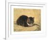 The Parson's Kitten-Henriette Ronner-Knip-Framed Premium Giclee Print