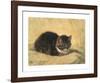 The Parson's Kitten-Henriette Ronner-Knip-Framed Premium Giclee Print