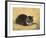 The Parson's Kitten-Henriette Ronner-Knip-Framed Premium Giclee Print