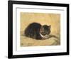 The Parson's Kitten-Henriette Ronner-Knip-Framed Premium Giclee Print